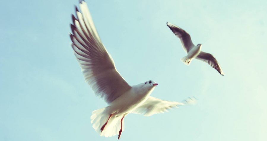 Church urges government to address poverty.